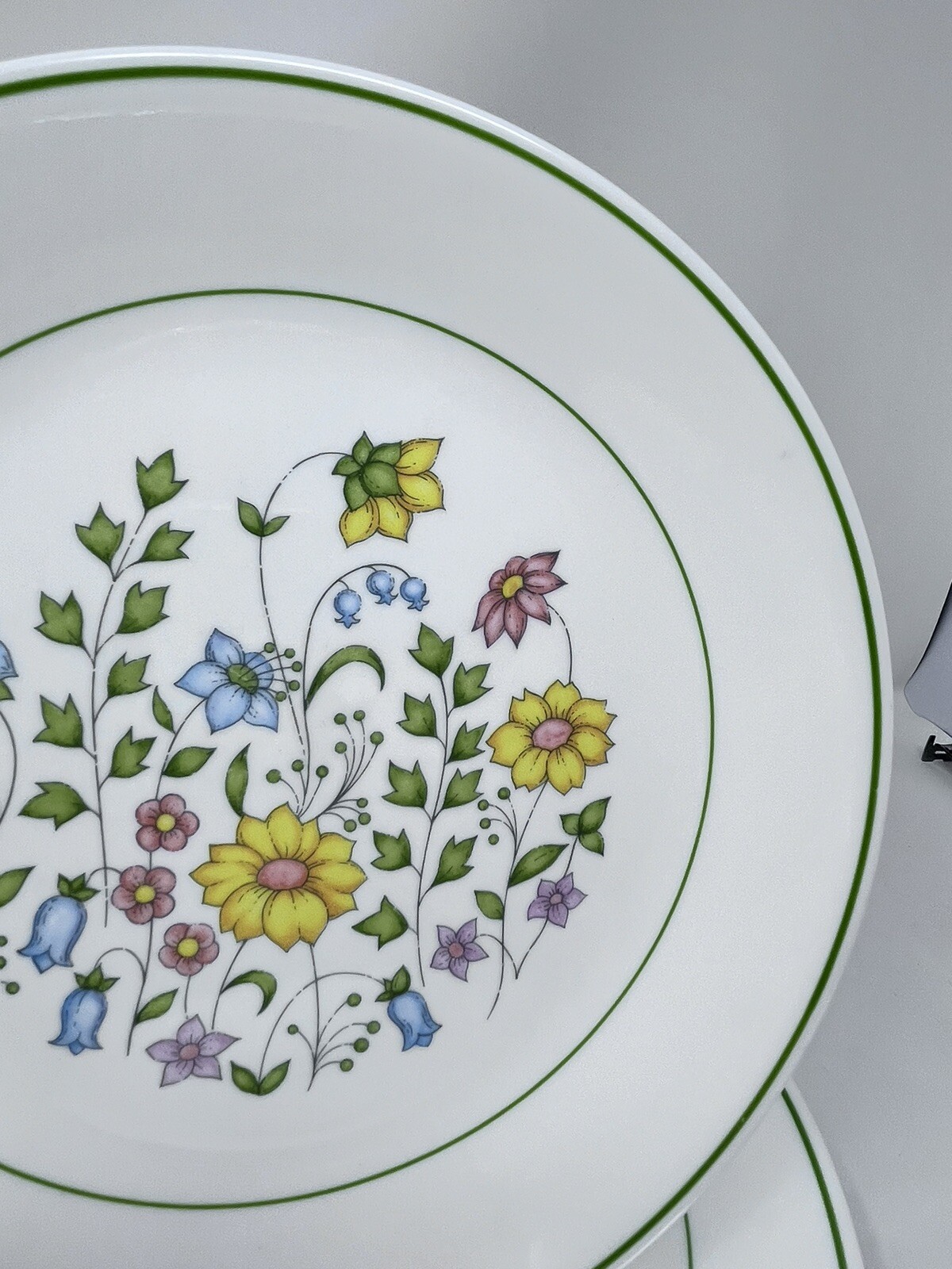 Corelle Meadow Dinner Plate 10-1/4" Green Trim Vitrelle