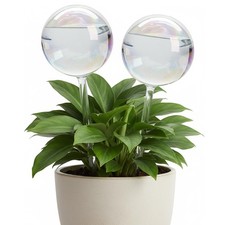 ZhenD Iridescent Self-Watering Plant Globes, Glass Self Watering Iridescence 