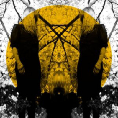 Austra Feel It Break (Vinyl) 12'' Album (UK IMPORT)