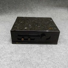 Amplificatore di potenza Musica (tubo sferico) Raichoii Mono Usato