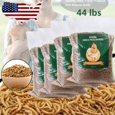 44 Lbs Dried Mealworms High Protein Bulk Food For Chicken Bird Turtle Fish Duck