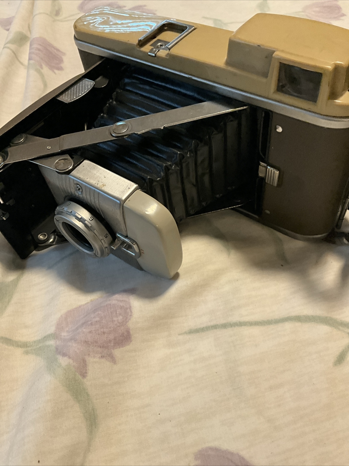 Picture 5 of 5
