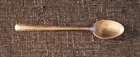 Gorham Camellia Pattern Sterling Infant Feeding Spoon 5.75 Inches 17.8 Grams