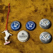 Craft Beer Lot Collectibles Flying Dog Brewery Pins Lagunitas Guinness Magnets