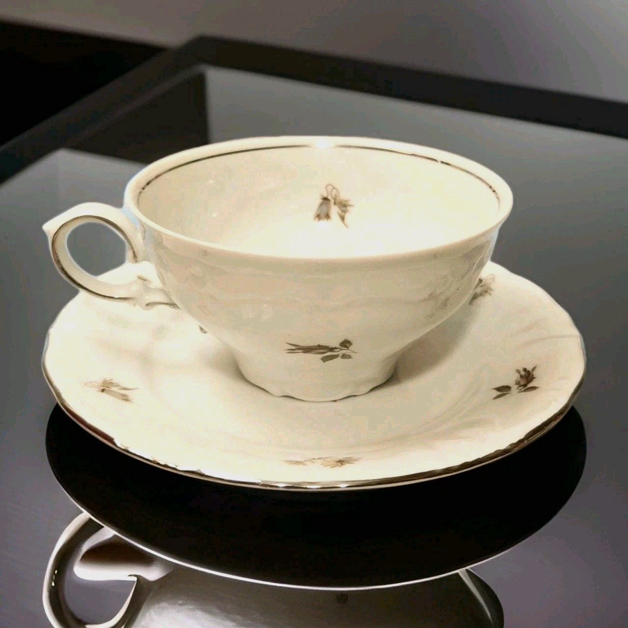 Winterling Schwarzenbach Tea Cup & Saucer Bone China Bavaria, Germany 1955 Mint