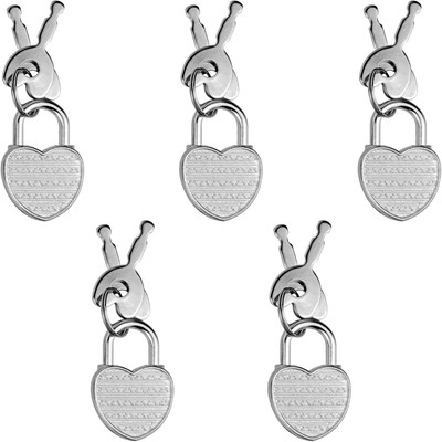 5 Pack Diary Padlock, Mini Locks with Keys, Tiny Luggage for Silver 
