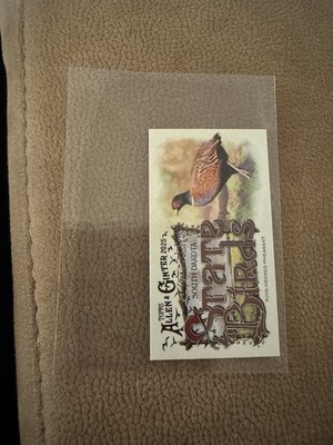 2025 Topps Allen & Ginter Mini Ring-Necked Pheasant SB-41  Insert