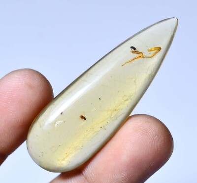 Untreated Natural Amber with Small Insect Inside 19.50 CT Certified Gemstone