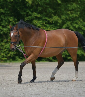 Equipride Soft Longierhilfe Trainingshilfe Cotton Size Full - Cob - Pony 3 Farben