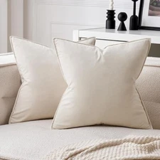 2 Piece Velvet Soft Decorative Square Zippered Throw Pillow Covers Beige 22x22