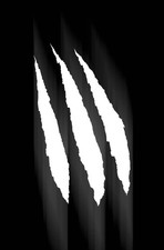 🔴🔥 GHOST RIDER WOLVERINE WEAPONS OF VENGEANCE ALPHA #1 INSIGNIA 1:300 VARIANT