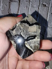 Volcano Agate Free Form Free Shipping 2.3 In Tall