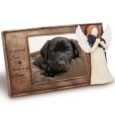 Pet Memorial Frame with Guardian Angel Sculpture - Handcrafted Resin 4x3 inch...