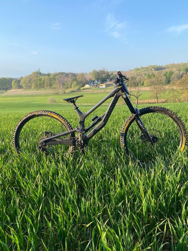 Nukeproof Dissent 290 Comp Carbon Downhill Bike Small