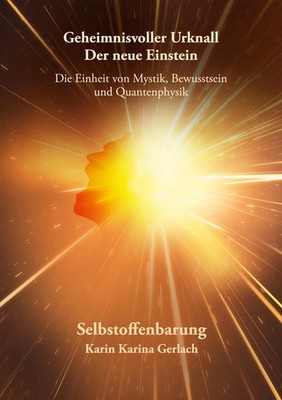 Geheimnisvoller Urknall - Der neue Einstein Karin Karina Gerlach Taschenbuch