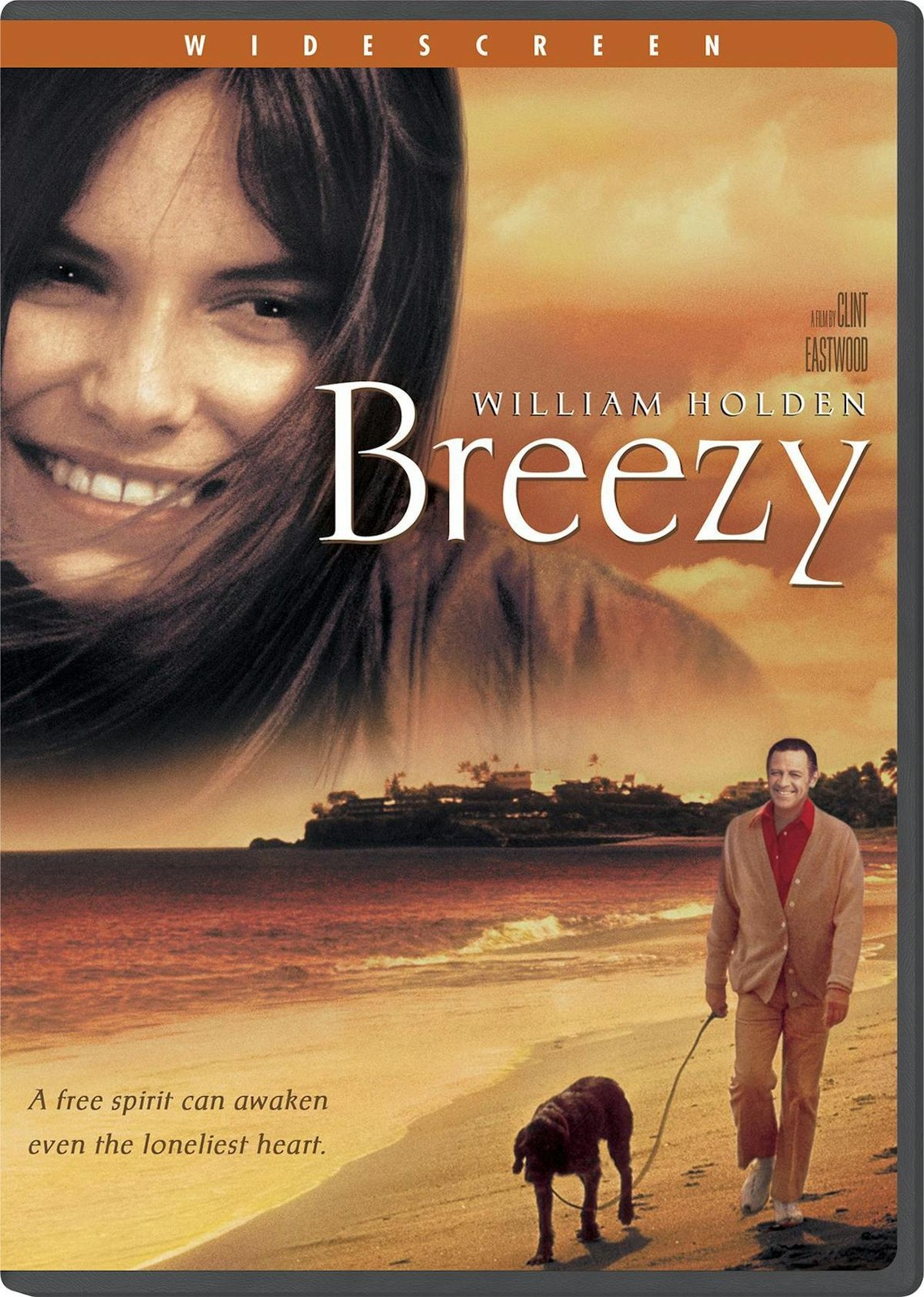 Breezy DVD William Holden NEW