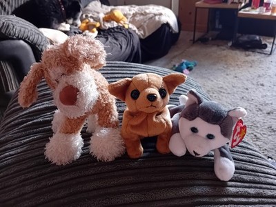 Ty Beanie Babys Dougie, Tiny & Nanook die Hunde, 3 kleine Plüschtiere, 1 neu mit Etikett