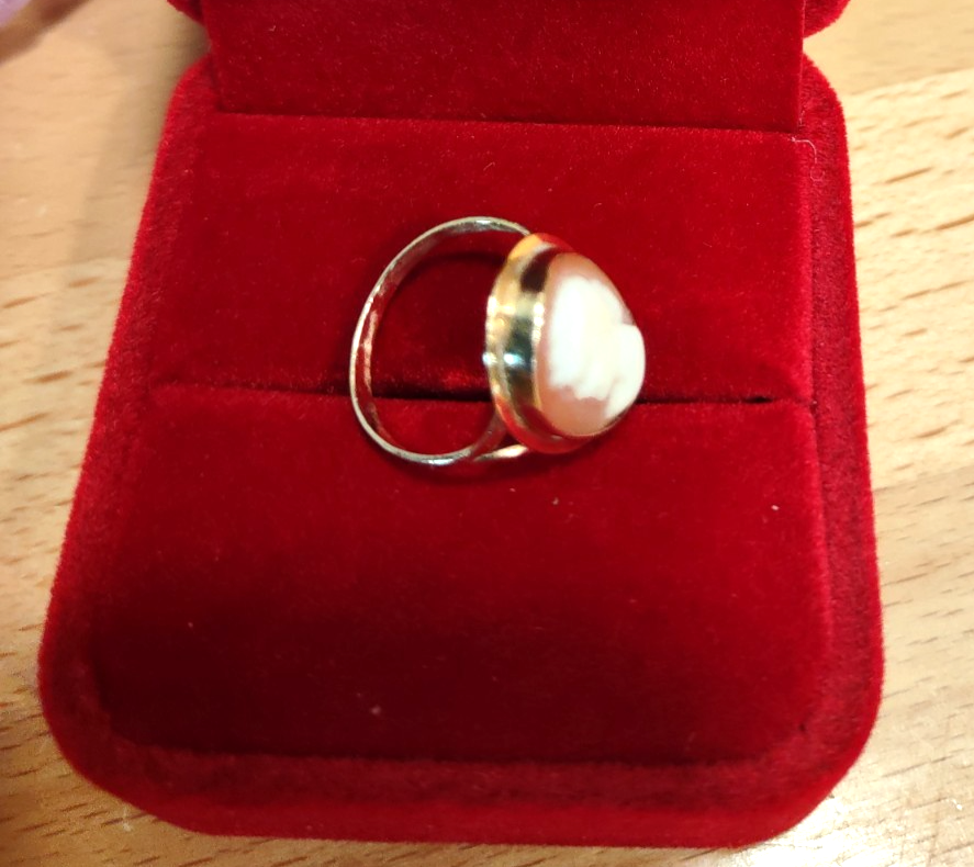 14 Kt Gold Oval Carved Shell Cameo Ring 1.4 Grams Size 3.75 | eBay