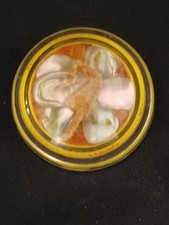 Vintage Desk Top Paperweight Round Magnifying Clear Glass Dome 3" w/Seahorse Art