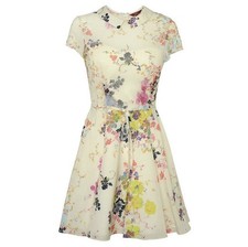 Ted Baker Gracel Full Skirt Floral Dress Mini Fit & Flare, Size 2 or US (6) S