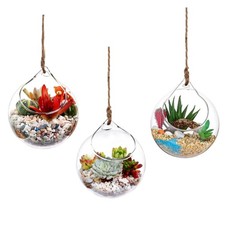 Plant Propagation Station with 3-Globe Terrarium - Plant Lover Gift for Women