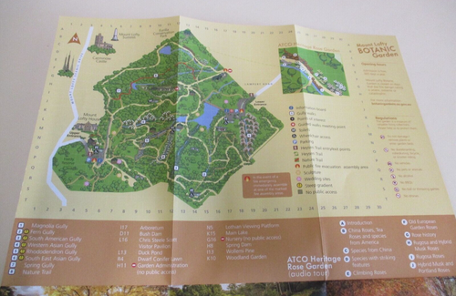 Mount Lofty Botanic Garden - Guide and Map - Adelaide Hills - South Australia - Picture 3 of 12