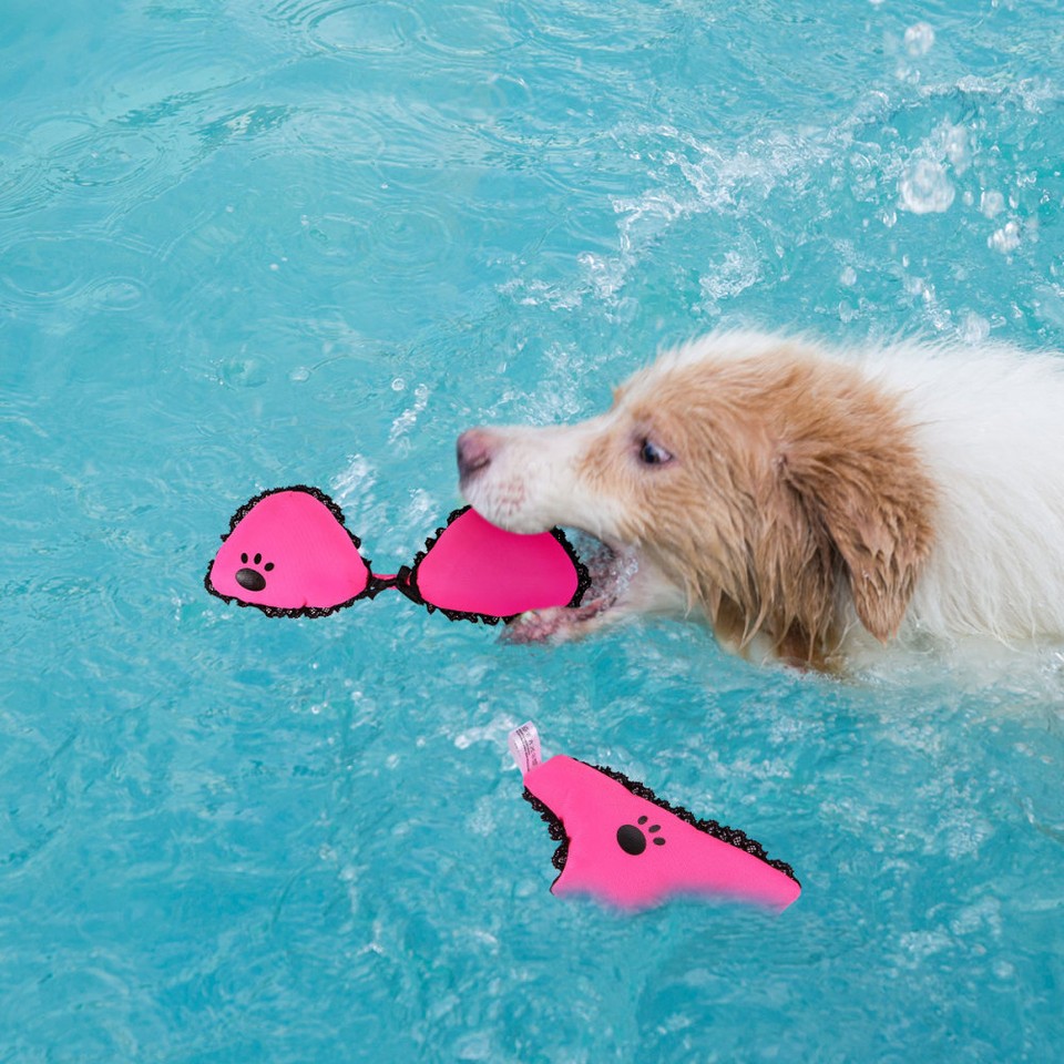 Squeaky Dog Toys Puppy Dog Sound Toys Pet Playing Toy Indestructible