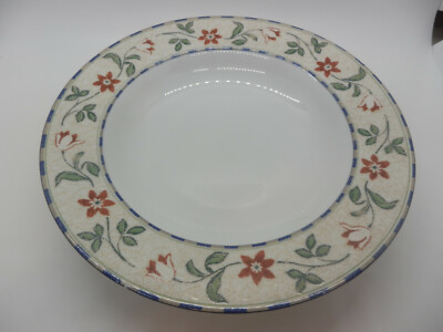 Set of 2 Mikasa Garden Suite 8 5/8'' Rimmed Soup Bowls M5165