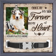 Pawfect House Once by My Side Forever in My Heart, 9x9 Inches Pet Loss Sign w...