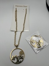 Set Necklace And Earrings For Women  s Stainless Steel