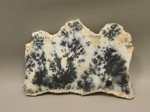 Medicine Bow Agate Stone Slab Unpolished Rough Rock Wyoming #O3 - Picture 4 of 6