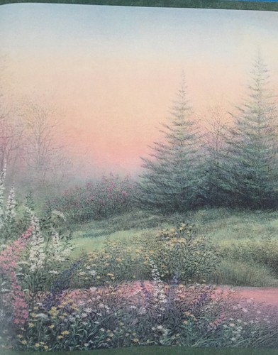 Chesapeake Meadow Wallpaper Border Set 3 Rolls 15 Yds Evergreen Spring Landscape - Picture 3 of 12