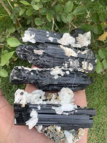 610 Gramm 4 Exemplare Konvolut Schorl Turmalin. - Bild 23 von 24