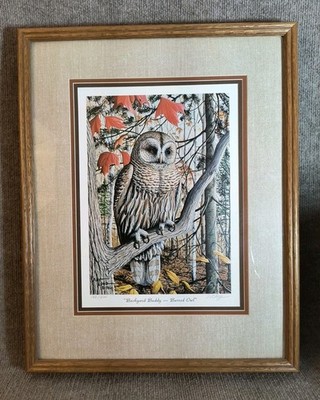 1982 Art Long  Backyard Buddy   Barred Owl  Signed Limited Edition 168/500 Wild 