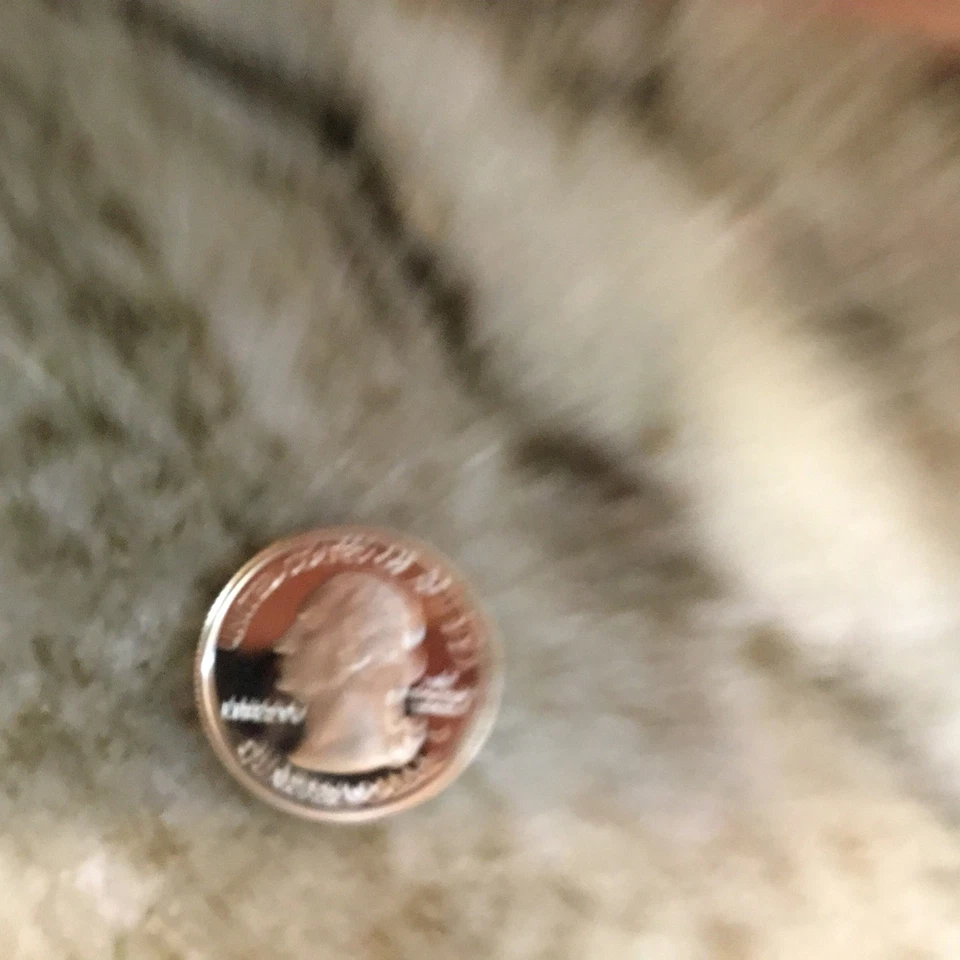 2004 S Silver Proof WISCONSIN Quarter - 90% Silver - Image 3 of 4