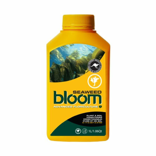 SEAWEED 1L YB Yellow Bottle - Advanced Floriculture Bloom