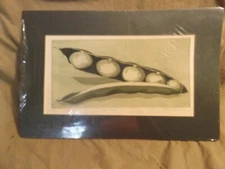 Vintage Artist Signed/# PENNY SELDIN Etching Print Food Art Green Grey PEA POD 