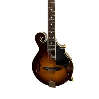 Aria AM-400BS マンドリン Aria Am-400Bs Mandolin | eBay