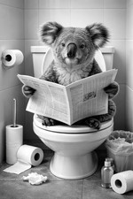 Koala Bear Funny Toilet Newspaper Roll Poster Print Framed Canvas Wall Art