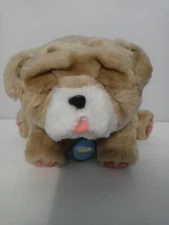 Rollie My Kissing Puppy Interactive Little Live Pets Wrinkle Bulldog Pug dog use