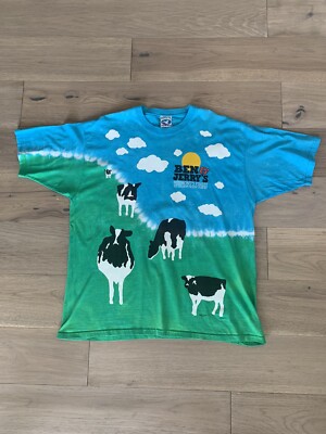 Vintage Liquid Blue Ben And Jerry's Nike SB XL Chunky Dunky GDM