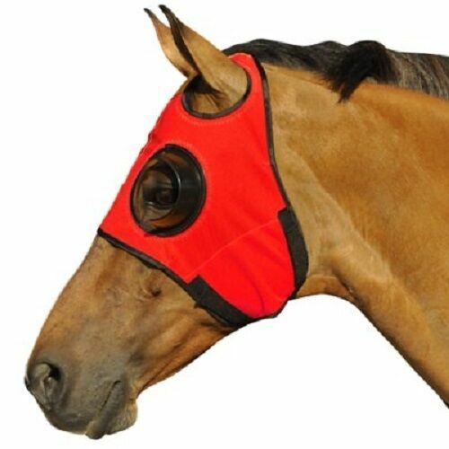 Horse Eye Blinders