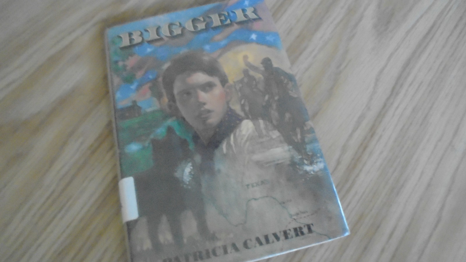 Bigger by Patricia Calvert (1994, Hardcover