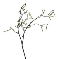 artplants KüNstlicher Zweig Birke Florem Mit BlüTen, Creme, 55Cm