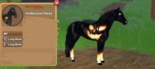 wild horse islands jack o lantern andalusian 23 event limted