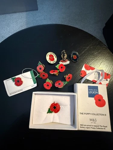 12 Rememberance day badges including poppy badges, Passchendale and ww1 cent.