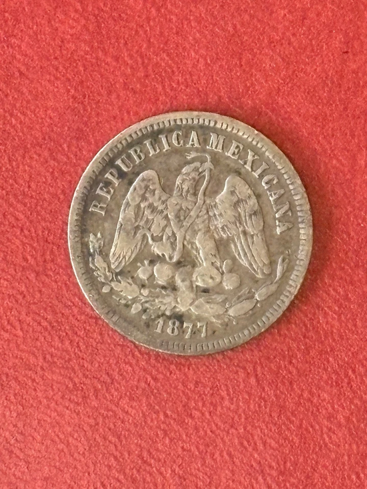 1877 Ho Mexico Silver 25 Centavos – Hermosillo Mint – XF - Image 4 of 4