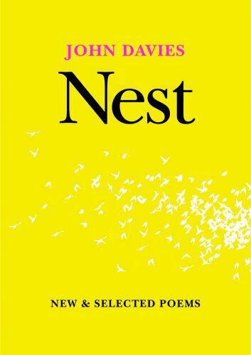 John Davies Nest (Paperback) - Afbeelding 1 van 1