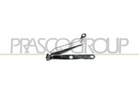 Prasco FT0173704 Scharnier, Motorhaube Passend FüR Fiat
