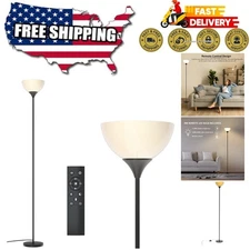 Matte Black Dimmable Floor Lamp with Remote Control - Stepless Brightness & C...